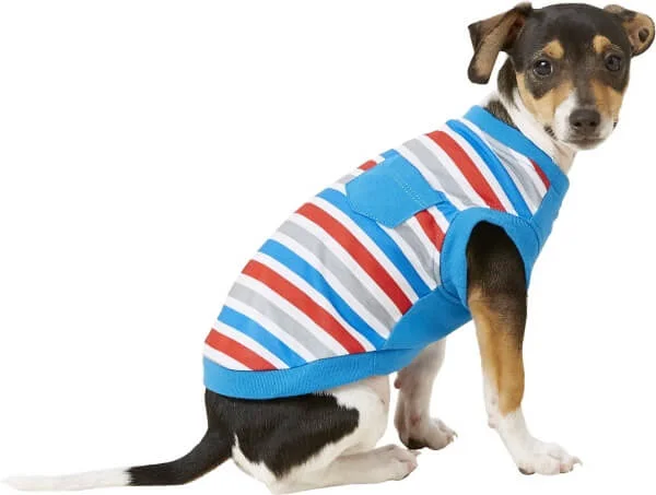 Hunde-T-Shirts: die perfekte Geschenkidee für alle Vierbeiner-Liebhaber