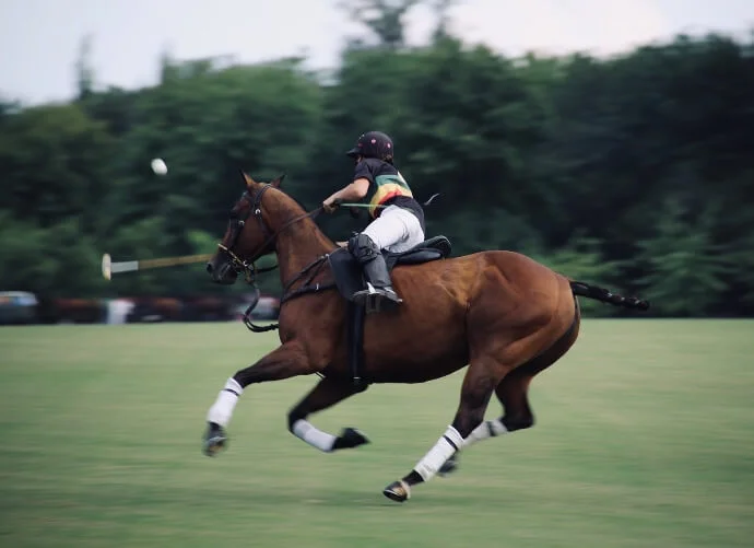 Das perfekte Poloshirt für Damen zum Reiten? Ein personalisiertes!