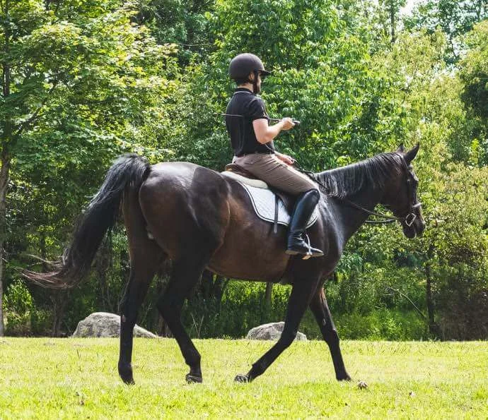 Polo-Reitsport
