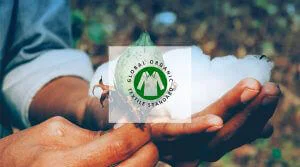 Perché scegliere il cotone organico: la certificazione Global Organic Textile Standard